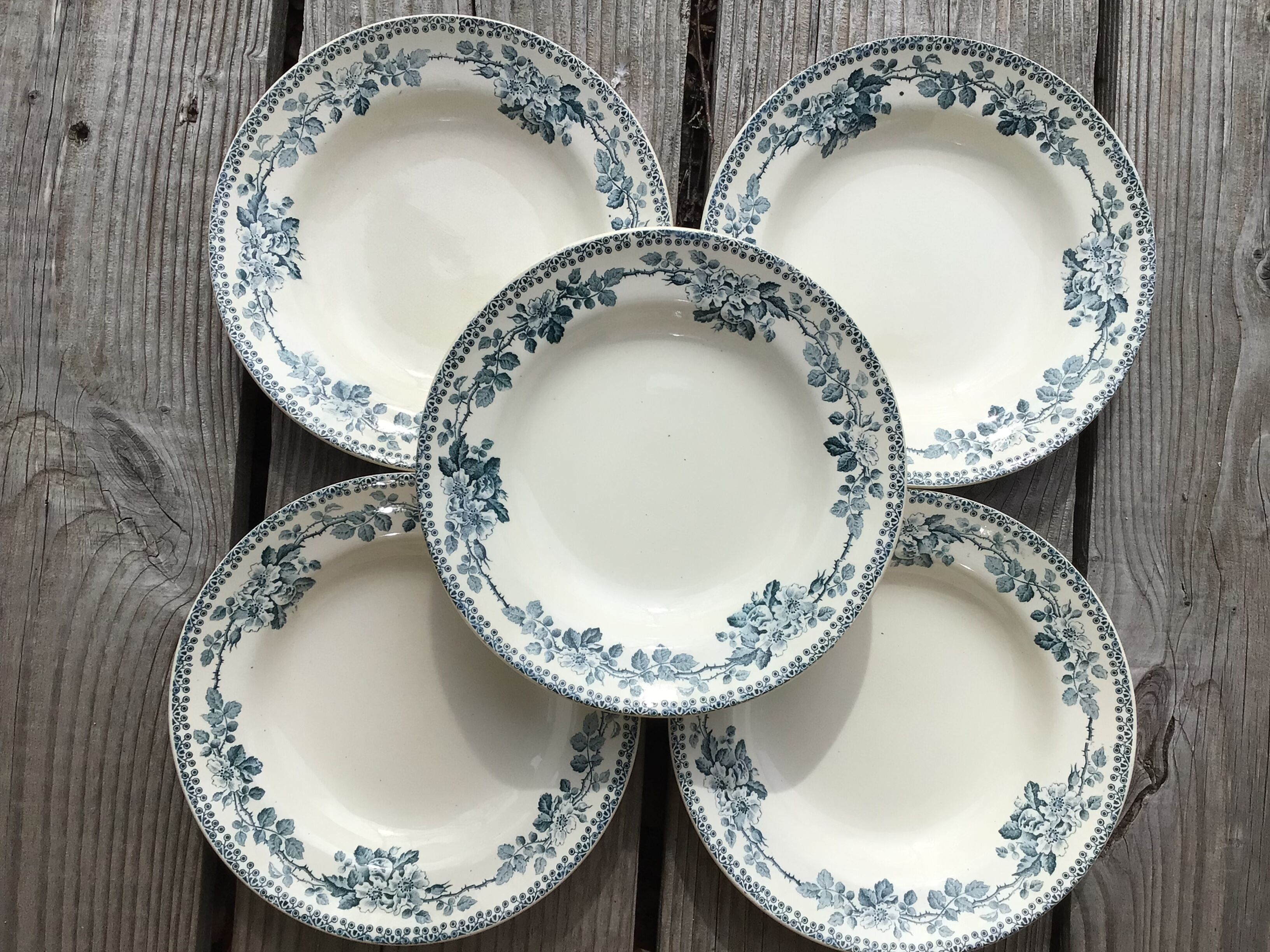 5 assiettes creuses Terre de Fer modèle Guadeloupe Debray bleu