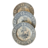 Assiettes en faïence anglaise. 19ème.  Grosvenor China