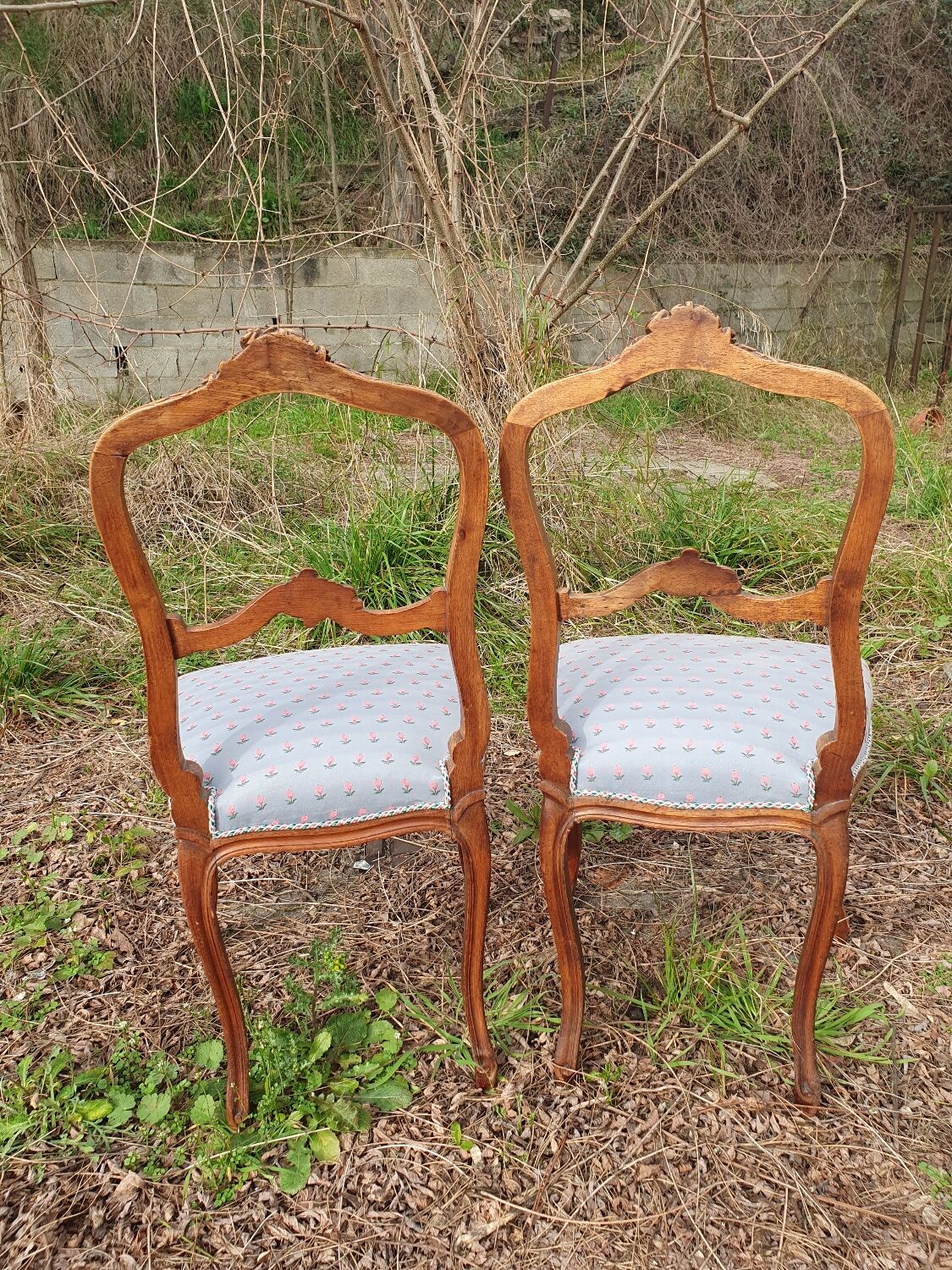 Pair of Louis XV chairs