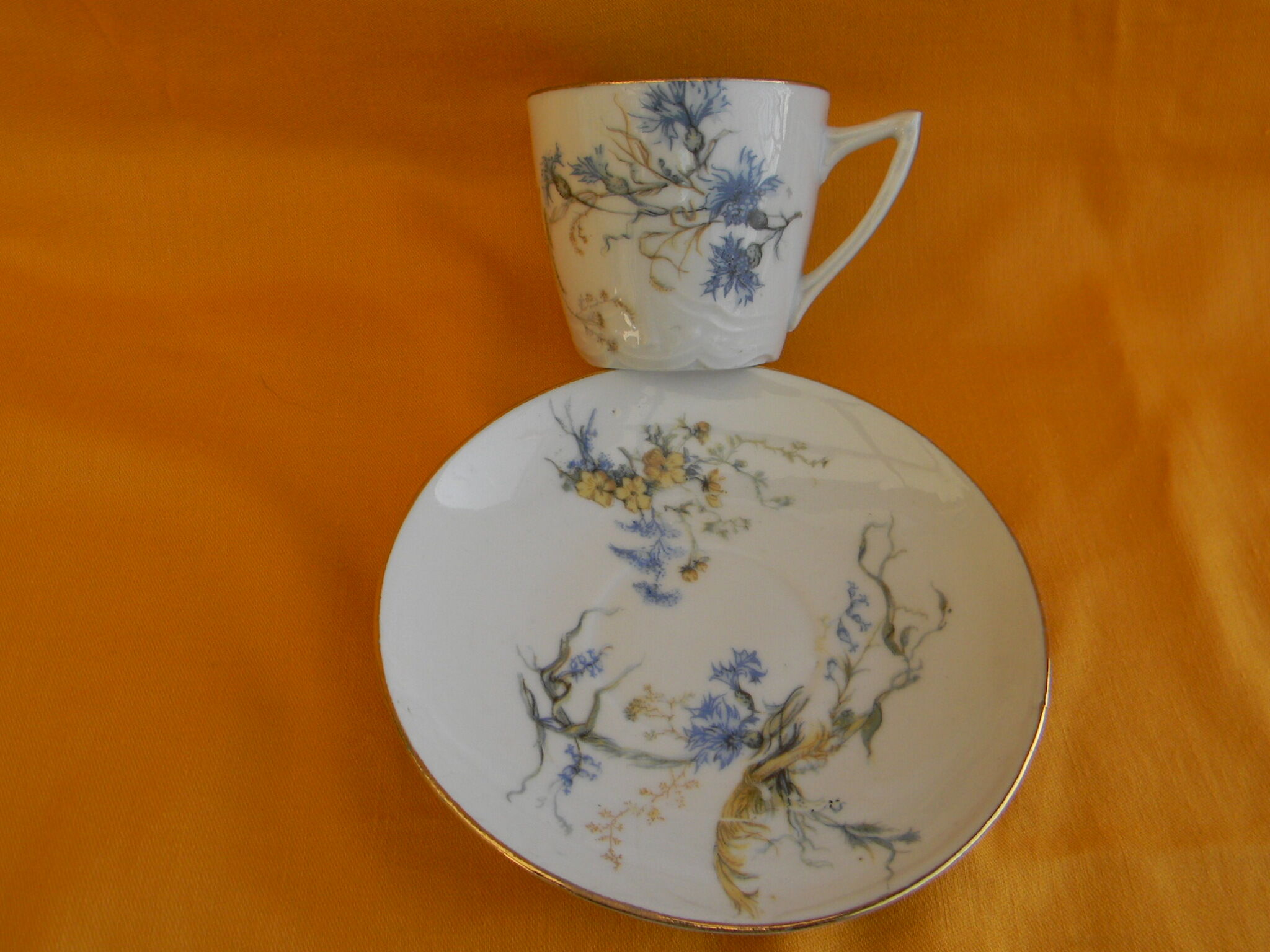 Set of 6 porcelain cups. Blueberry décor