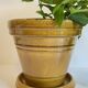 POT with Hole Pottery CLAROUS France