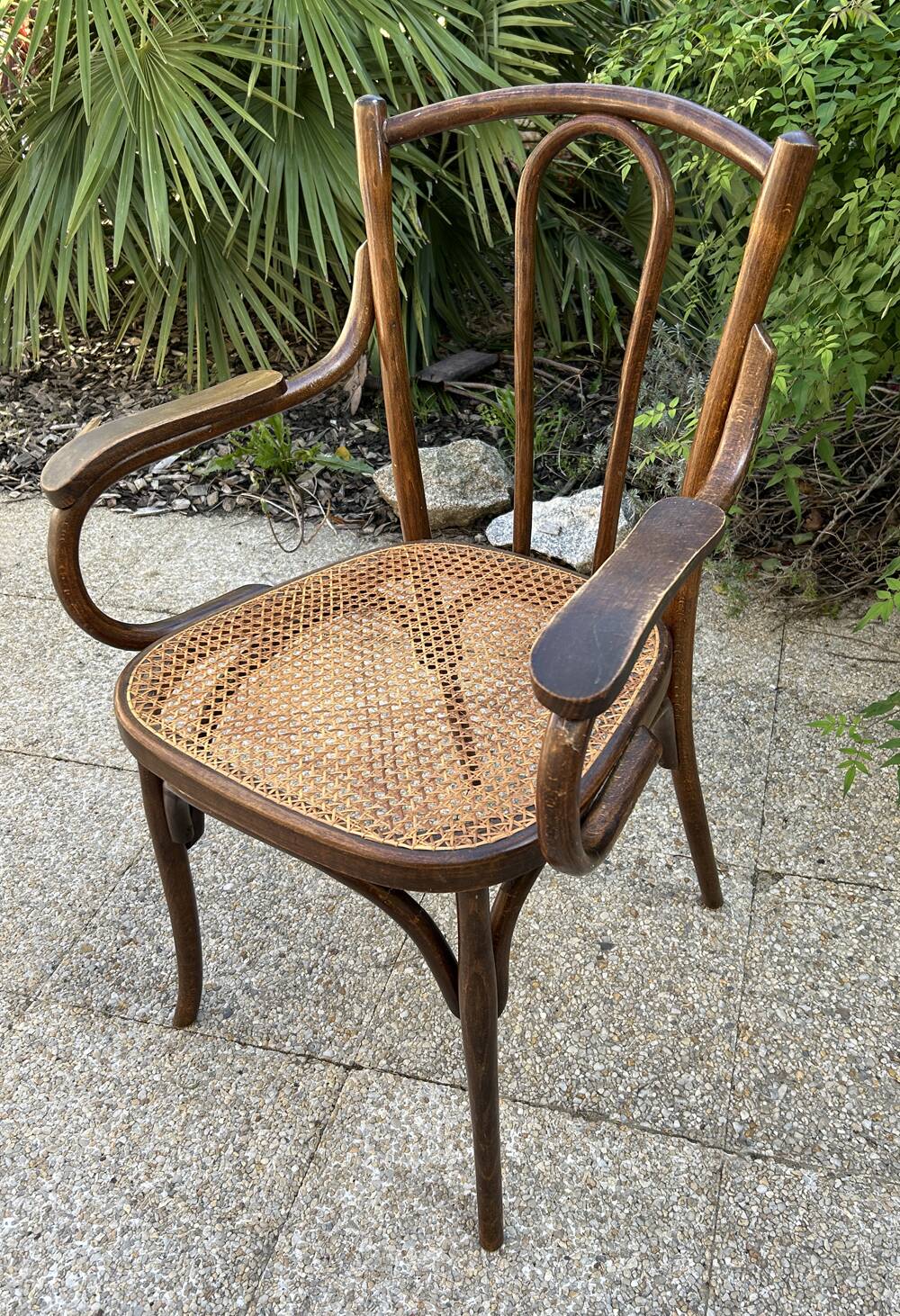 Baumann caned curved wooden armchair, 1900