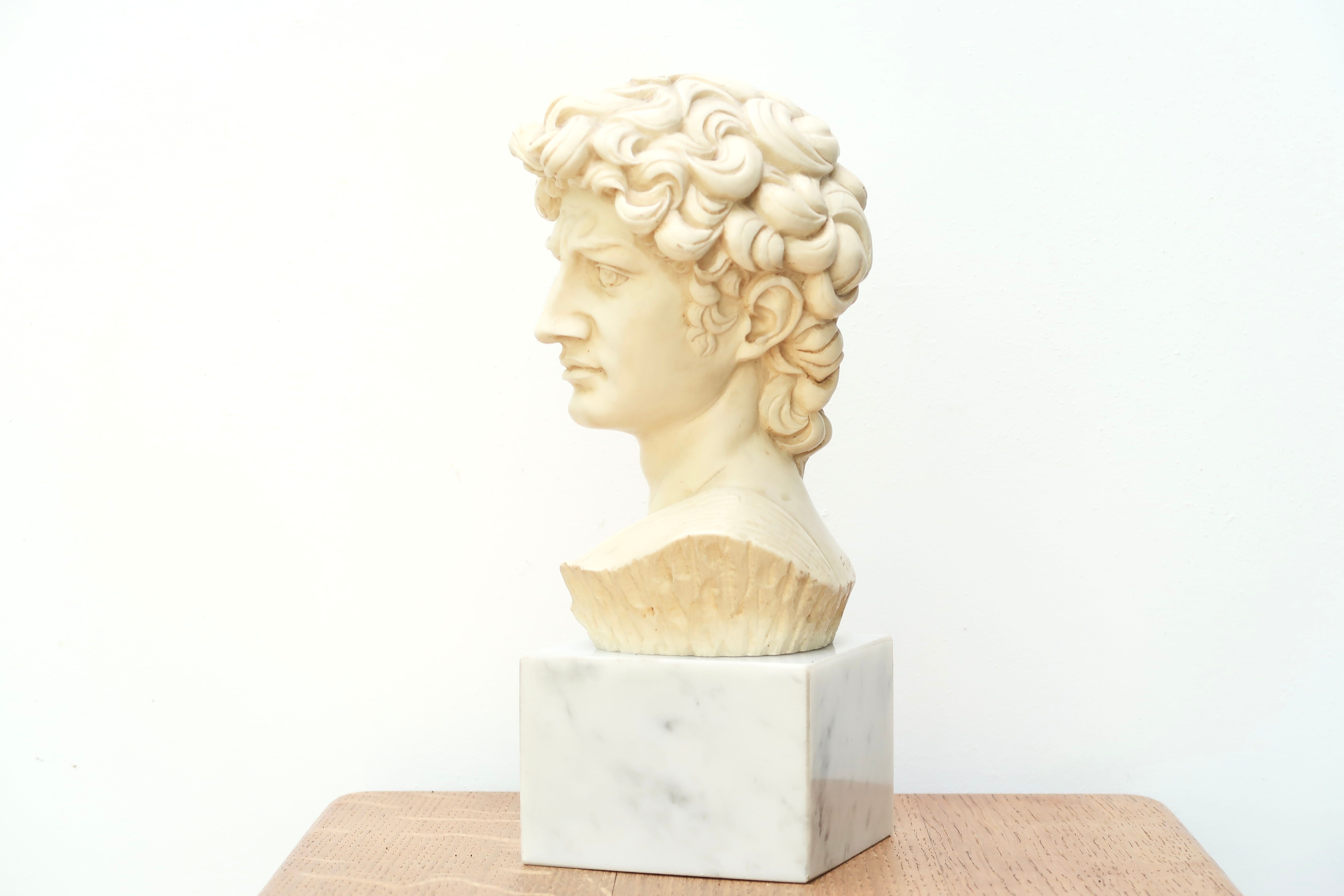 Bust of David by Michelangelo, 50s
