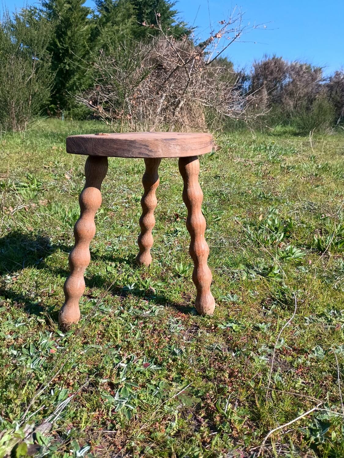Milking stool