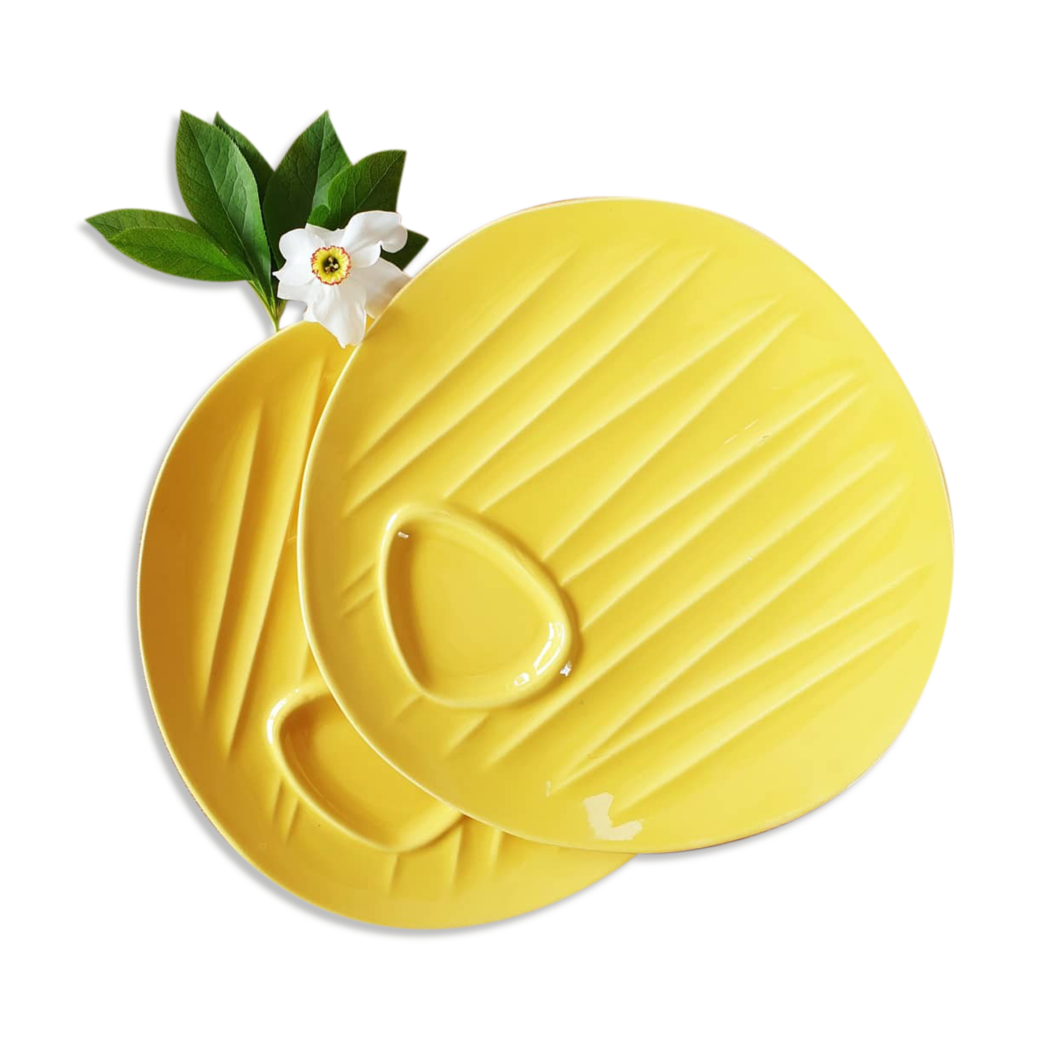 Duo plates with asparagus