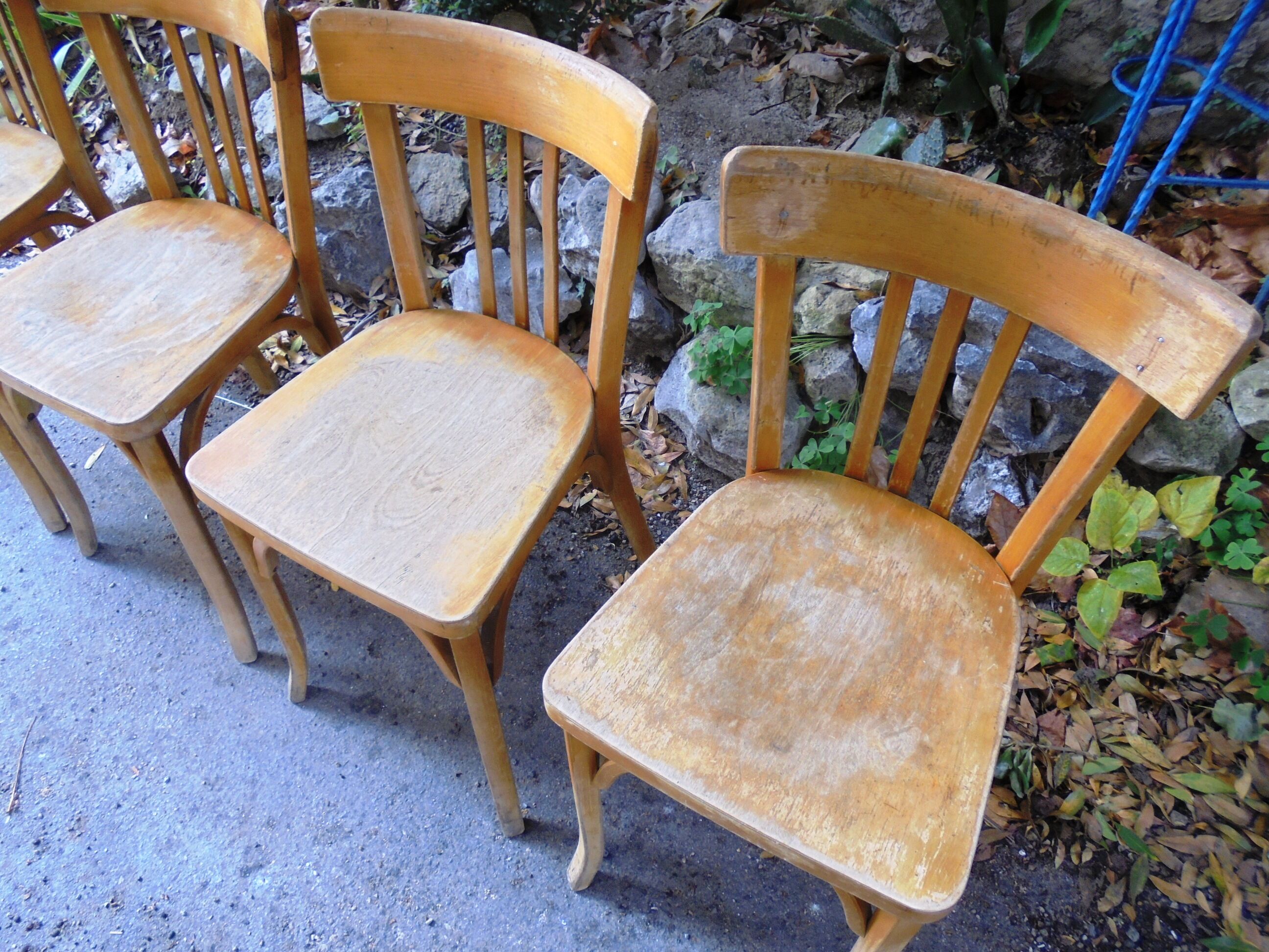 Baumann chairs