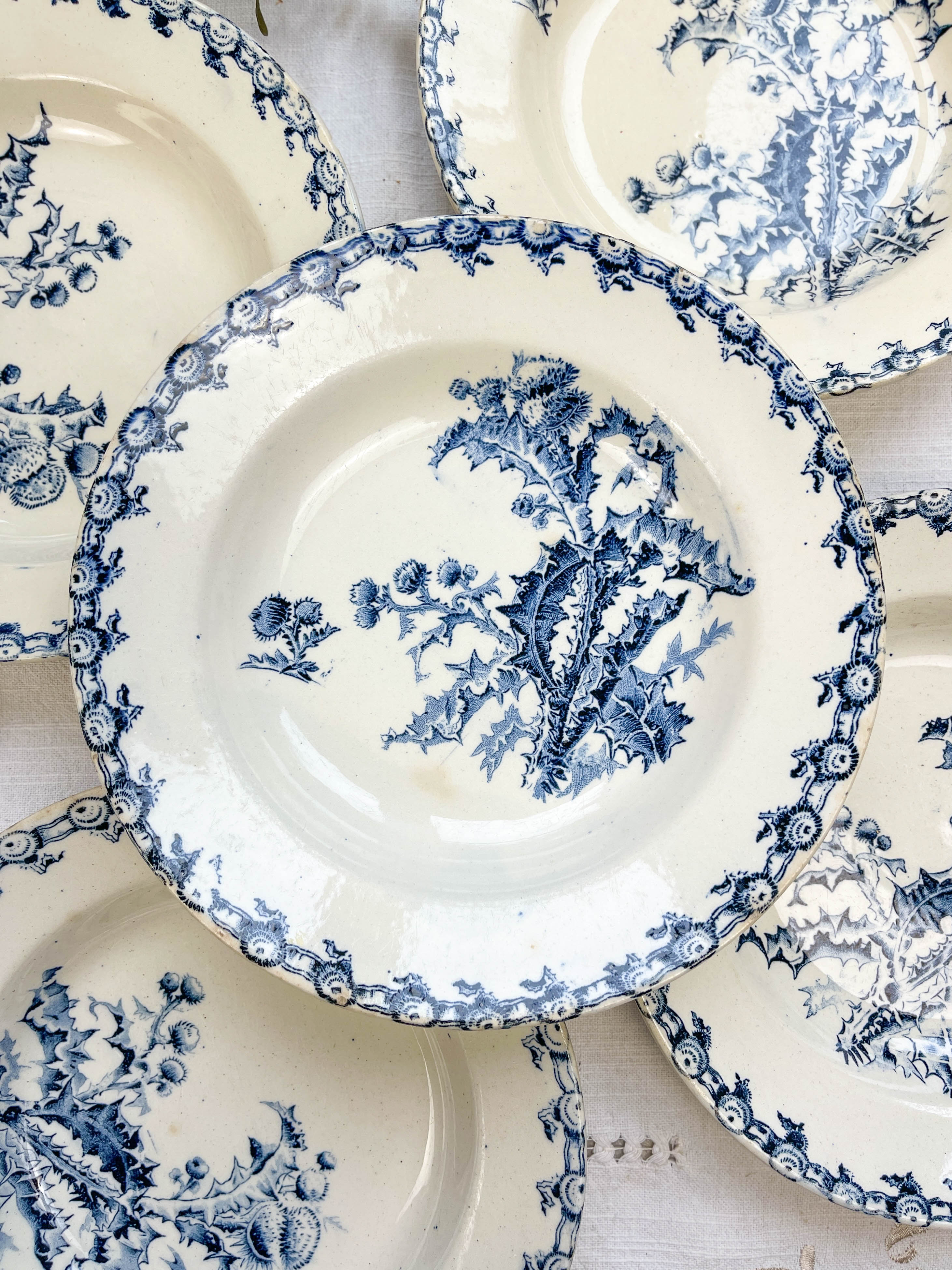 5 assiettes creuses terre de fer gien modèle chardons made in france