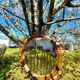 Rattan mirror