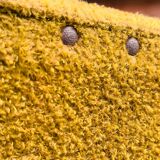 Vintage 60s armchair in cumin yellow terry fabric