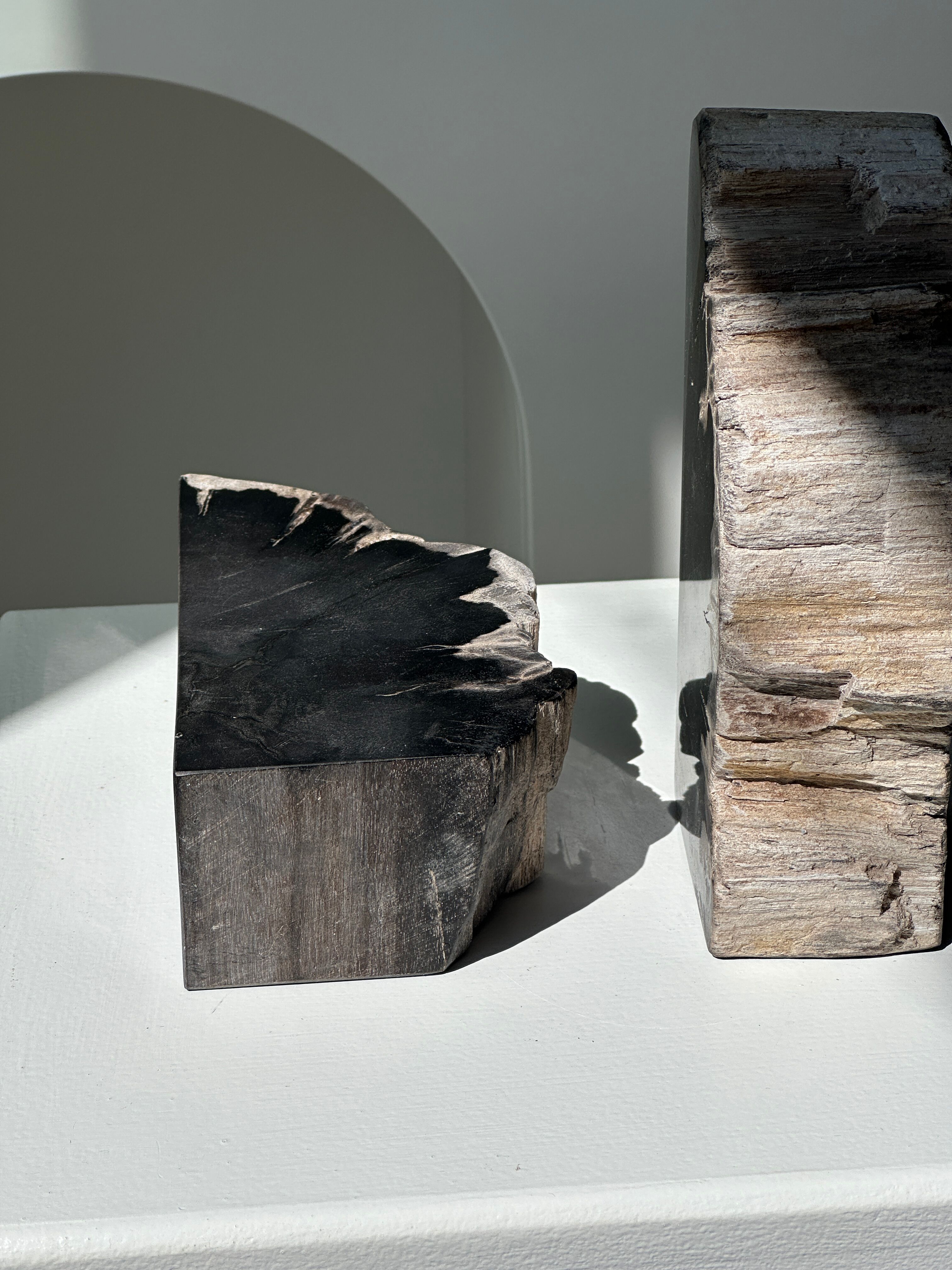 Black petrified wood bookend H17 L17 P6