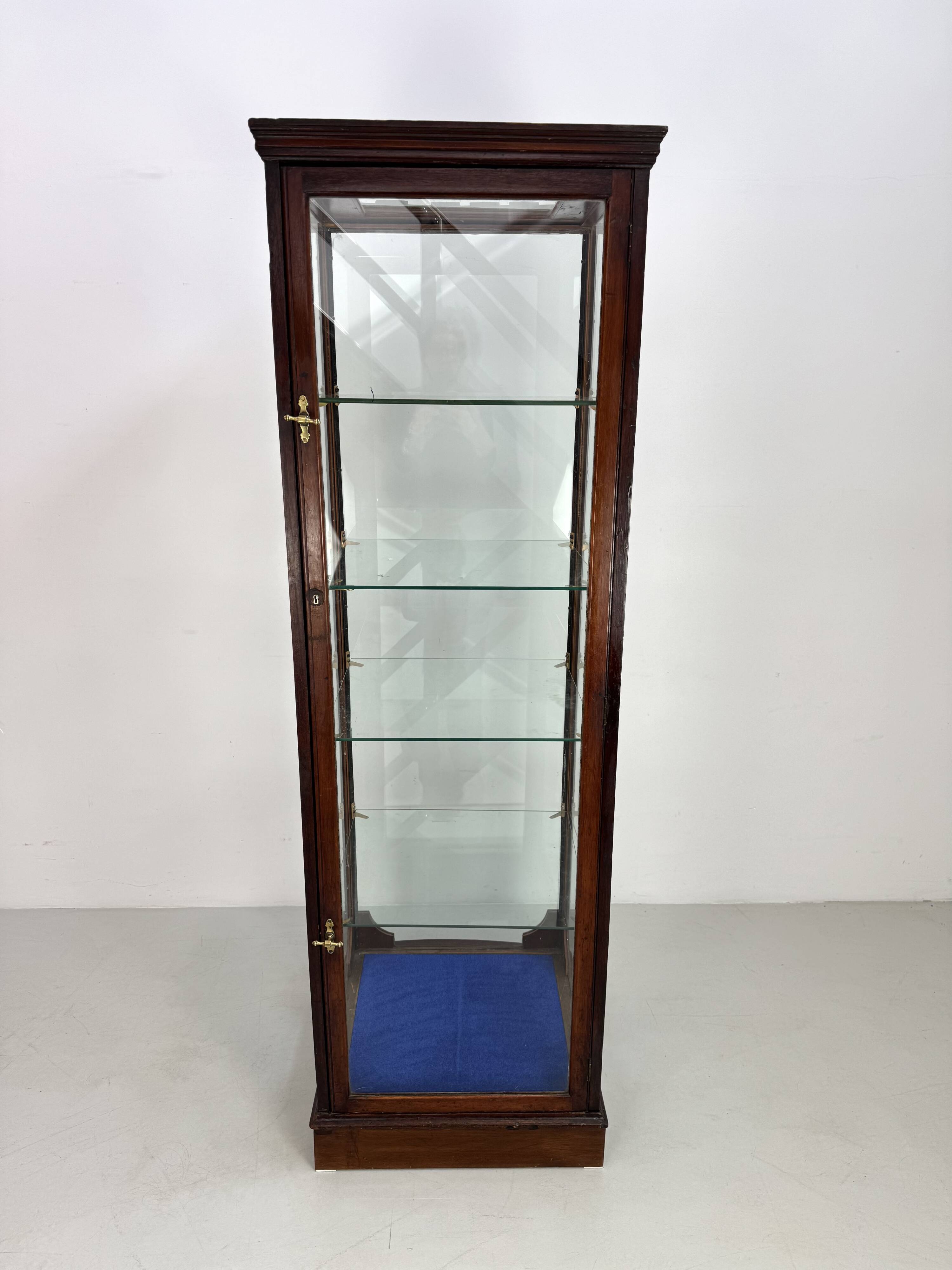 Beautiful mahogany museum display cabinet from England, circa 1925.