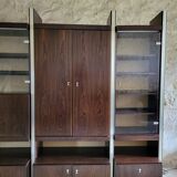 Library / living room. Late 1970s Roche Bobois.