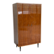 Vintage RVD Belgian Mid-Century Wardrobe — Lacquered Rosewood Veneer &