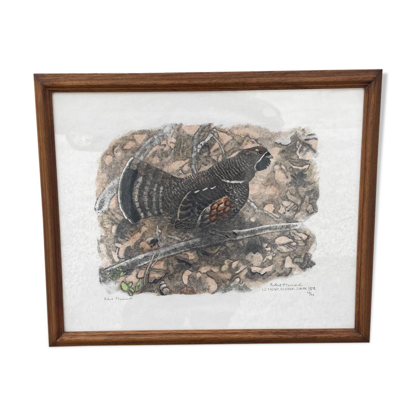 Gravure originale de Robert Hainard
