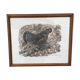 Gravure originale de Robert Hainard