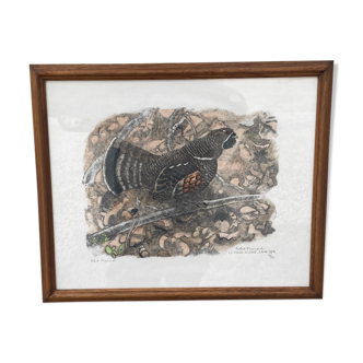Original engraving by Robert Hainard