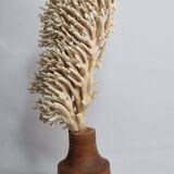 Antique natural coral on turned wooden base, 38 cm
