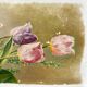 Antique decorative dish with painted flowers, signed