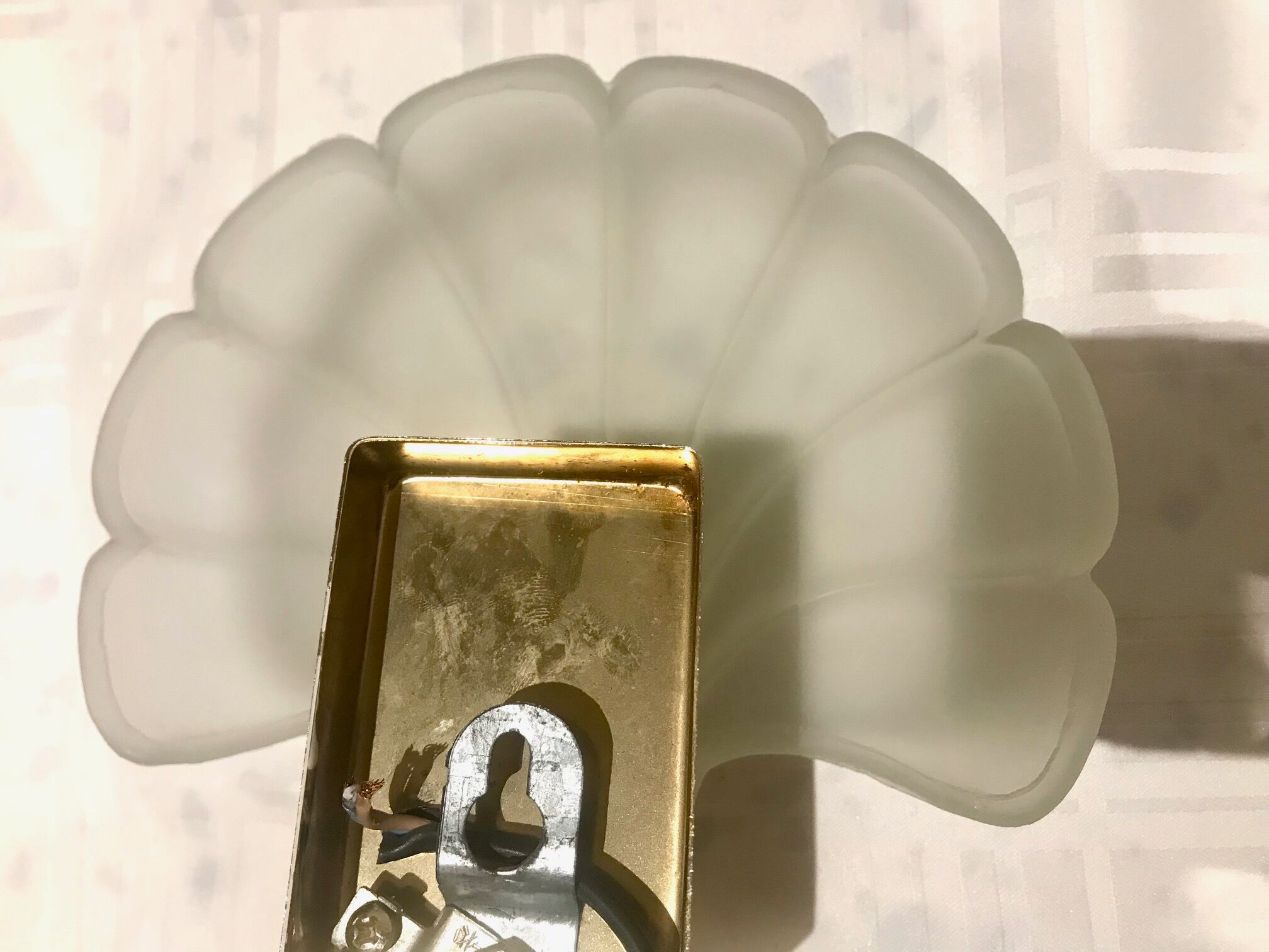 Pair of shell sconces