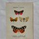 Naturalist engraving Butterfly 19th-century original botanical poster 1800