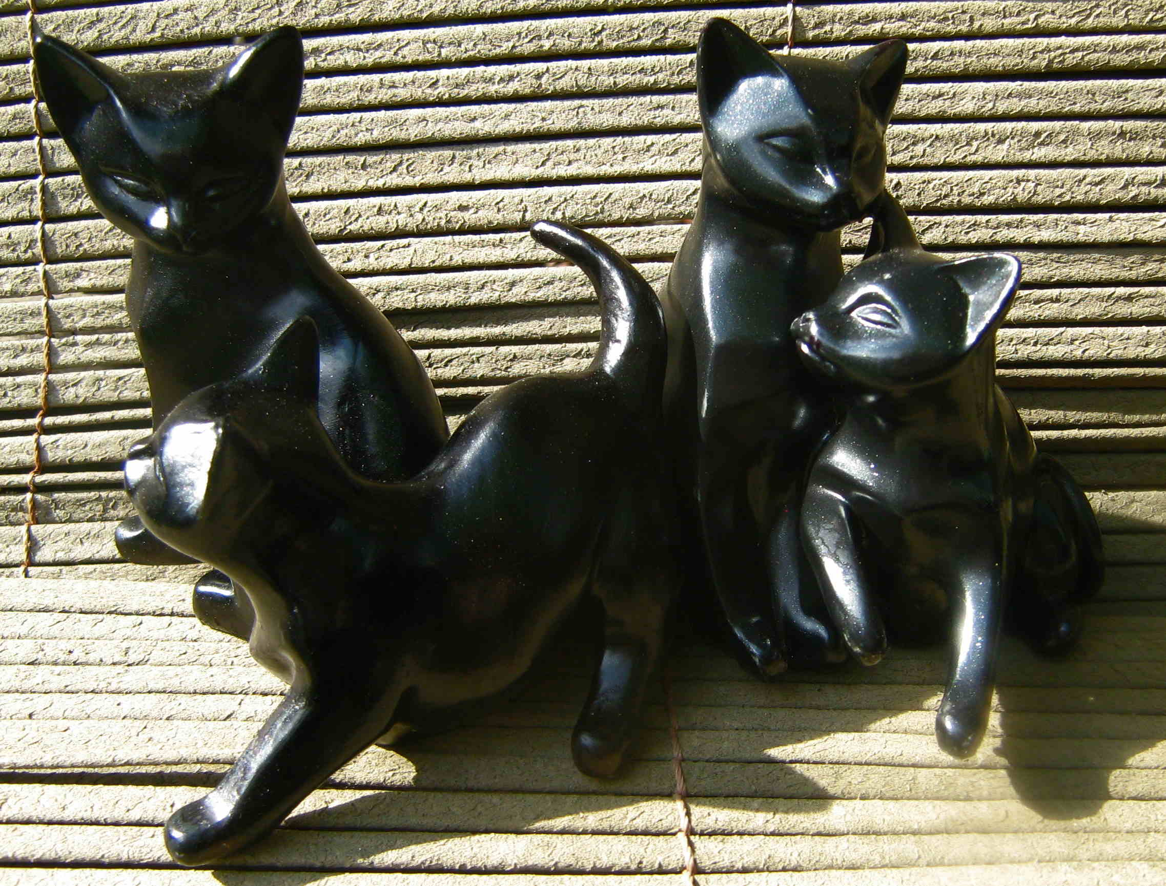 Lot de 4 chats noirs