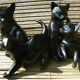 Lot de 4 chats noirs