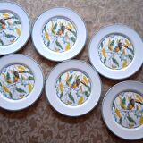 6 assiettes à dessert anciennes décor Toucan