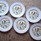 6 antique dessert plates with Toucan decor