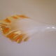 Chandelier to 5 branches art deco 1980