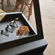 Antique display cabinet on legs