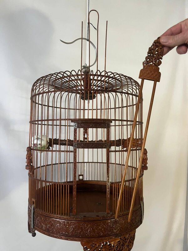 Cage Asie (Vietnam)