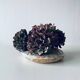 Grand vase plat forme lentille