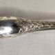 Silver ice tongs