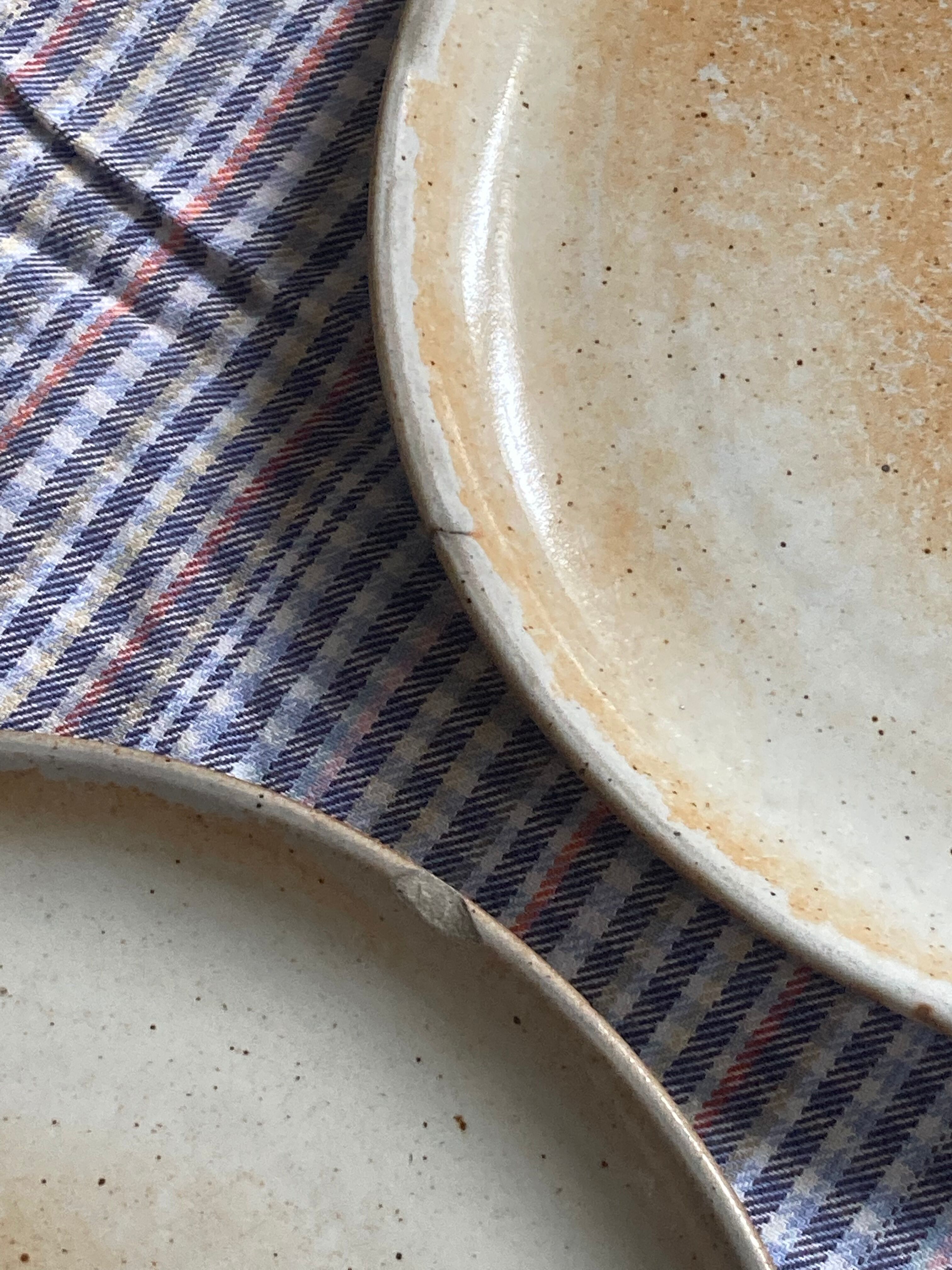 Flat plates in marshes stoneware paris