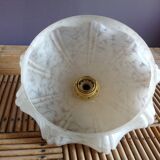 White opaline suspension