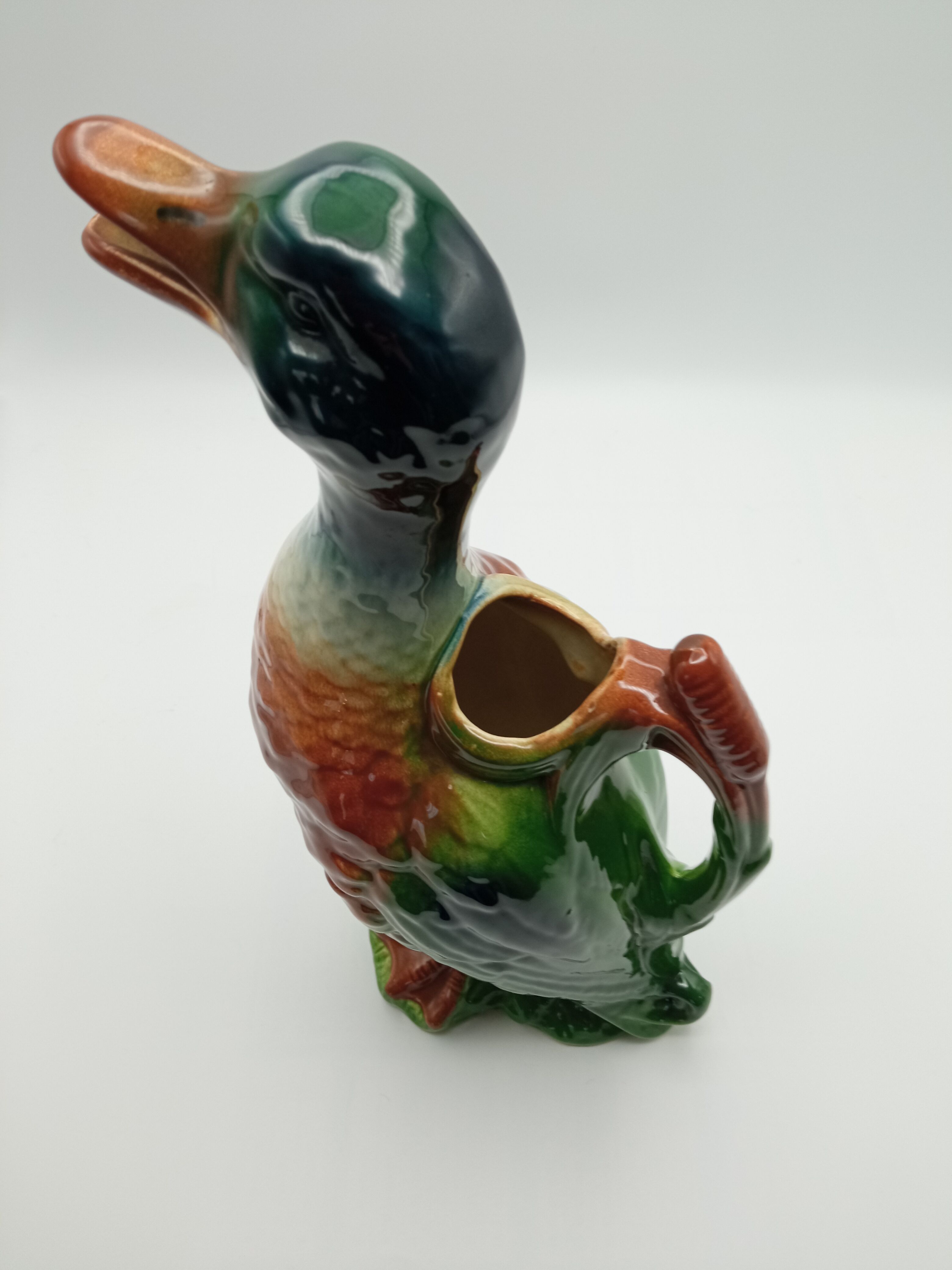 Duck pitcher in dabbling