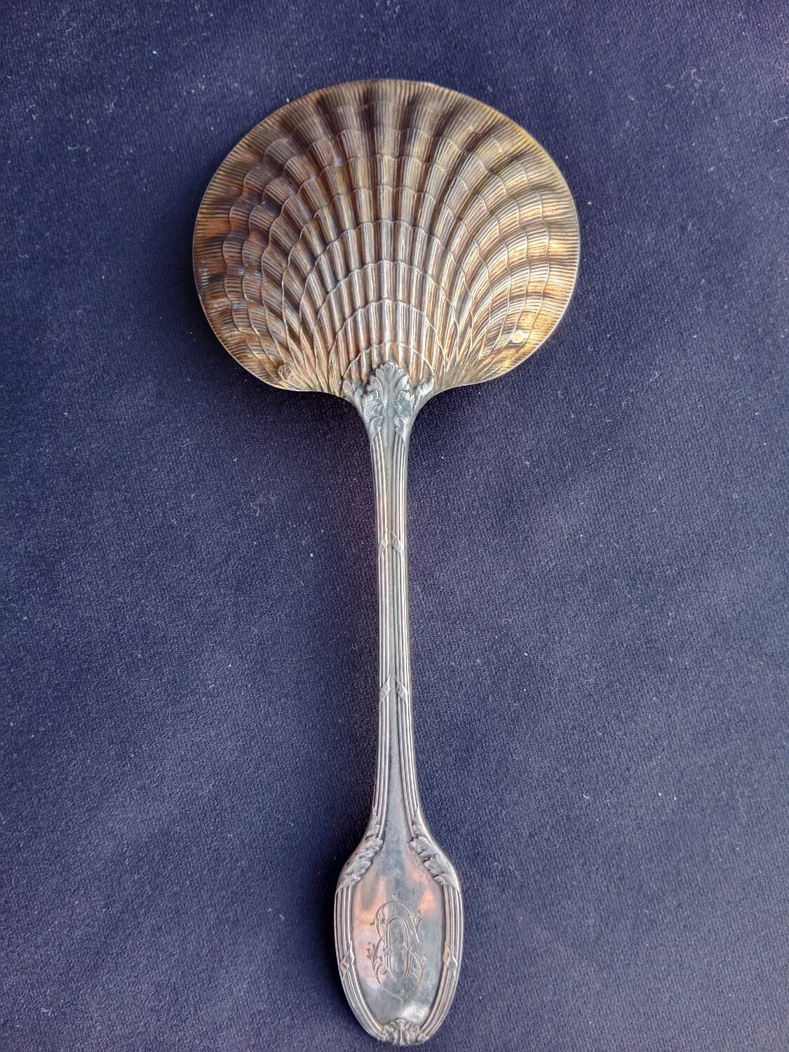 Strawberry shovel XIX.