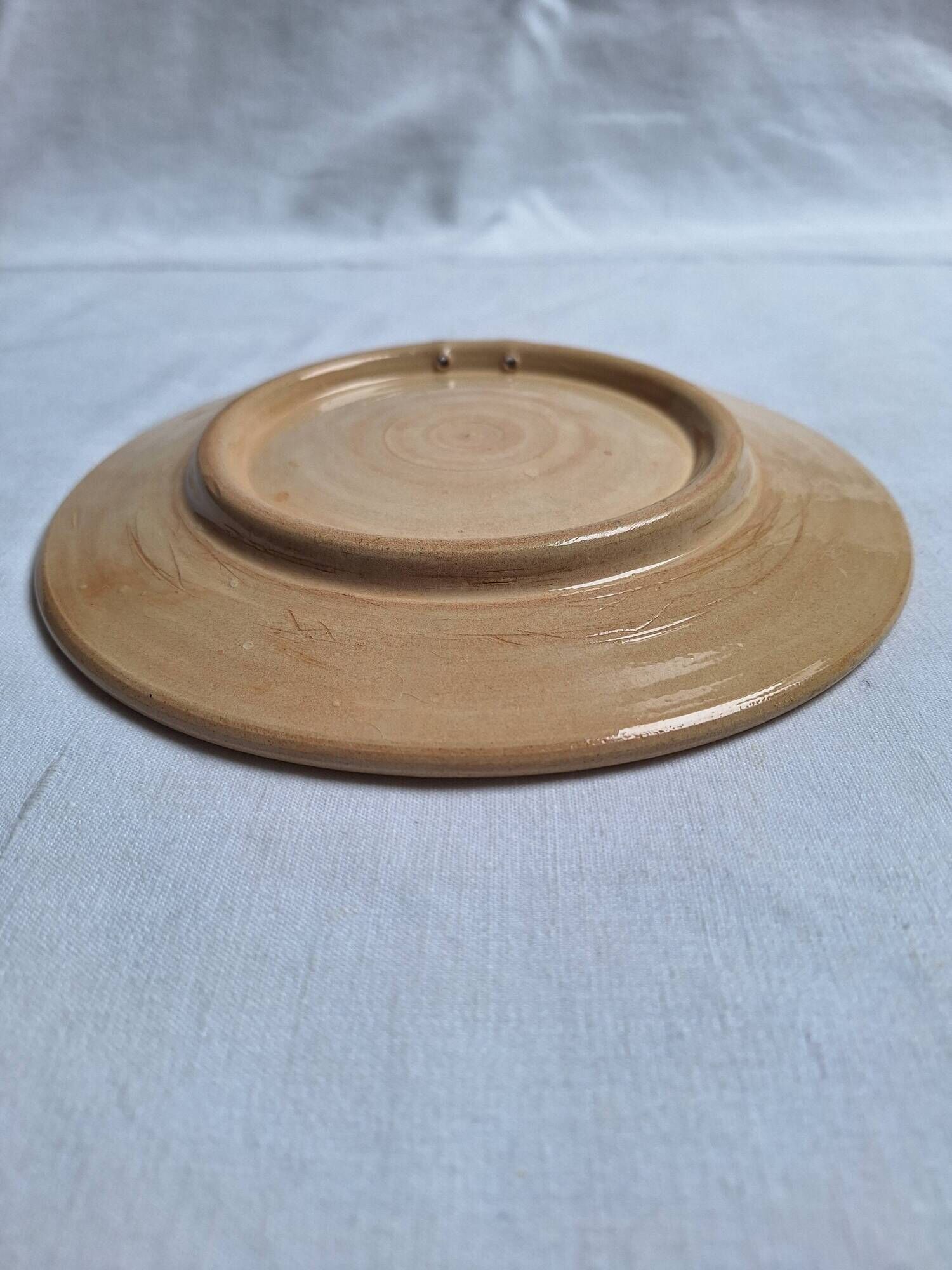 Hand-painted artisanal plate