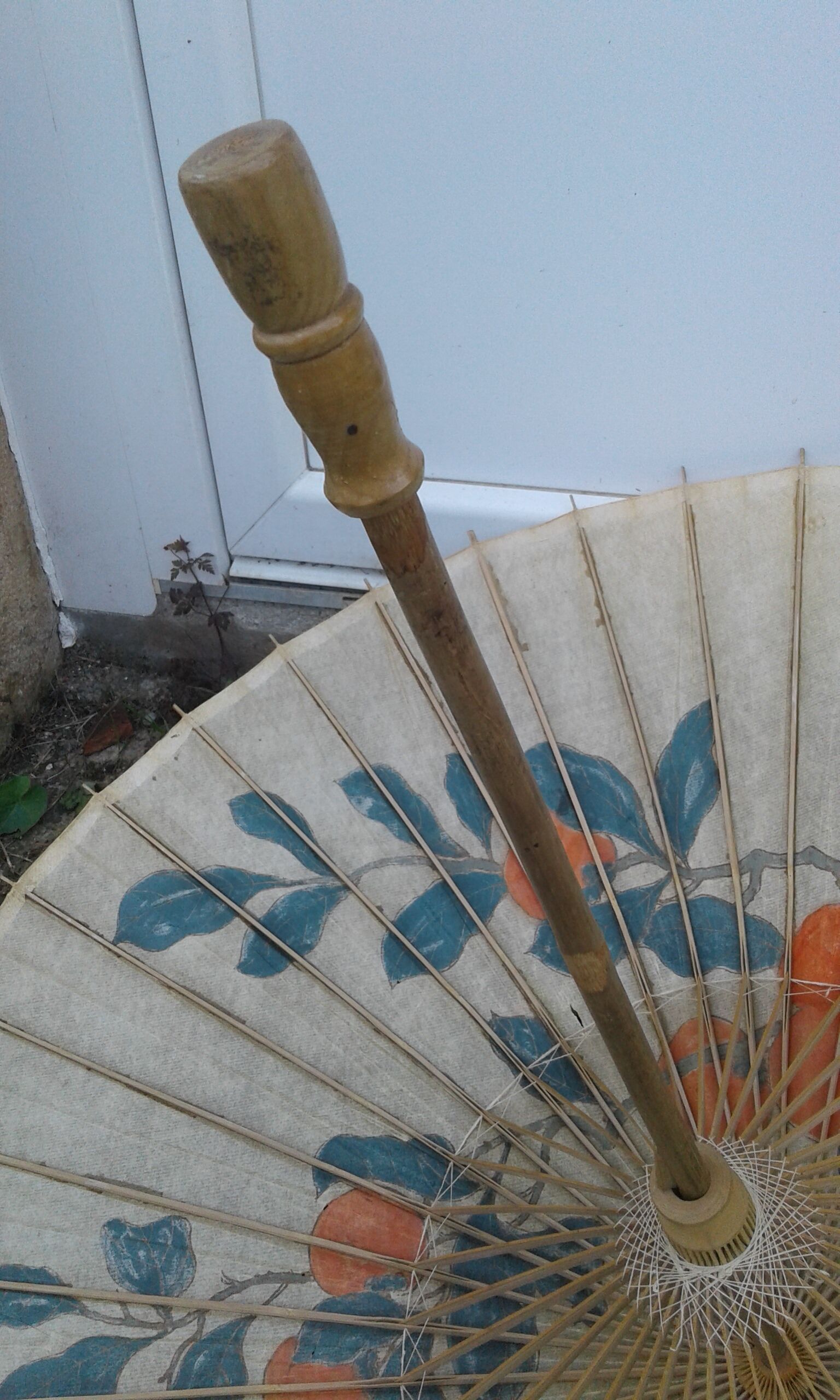 Asian umbrella