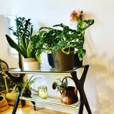 Italian serving table 60