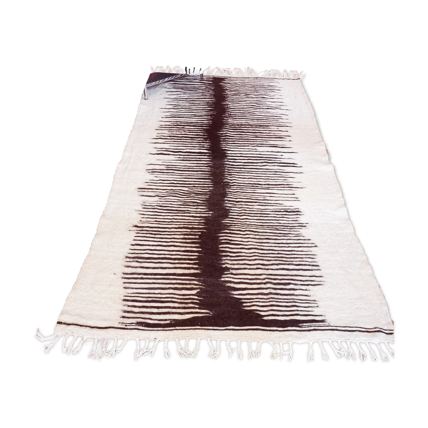 Zebre ebene
