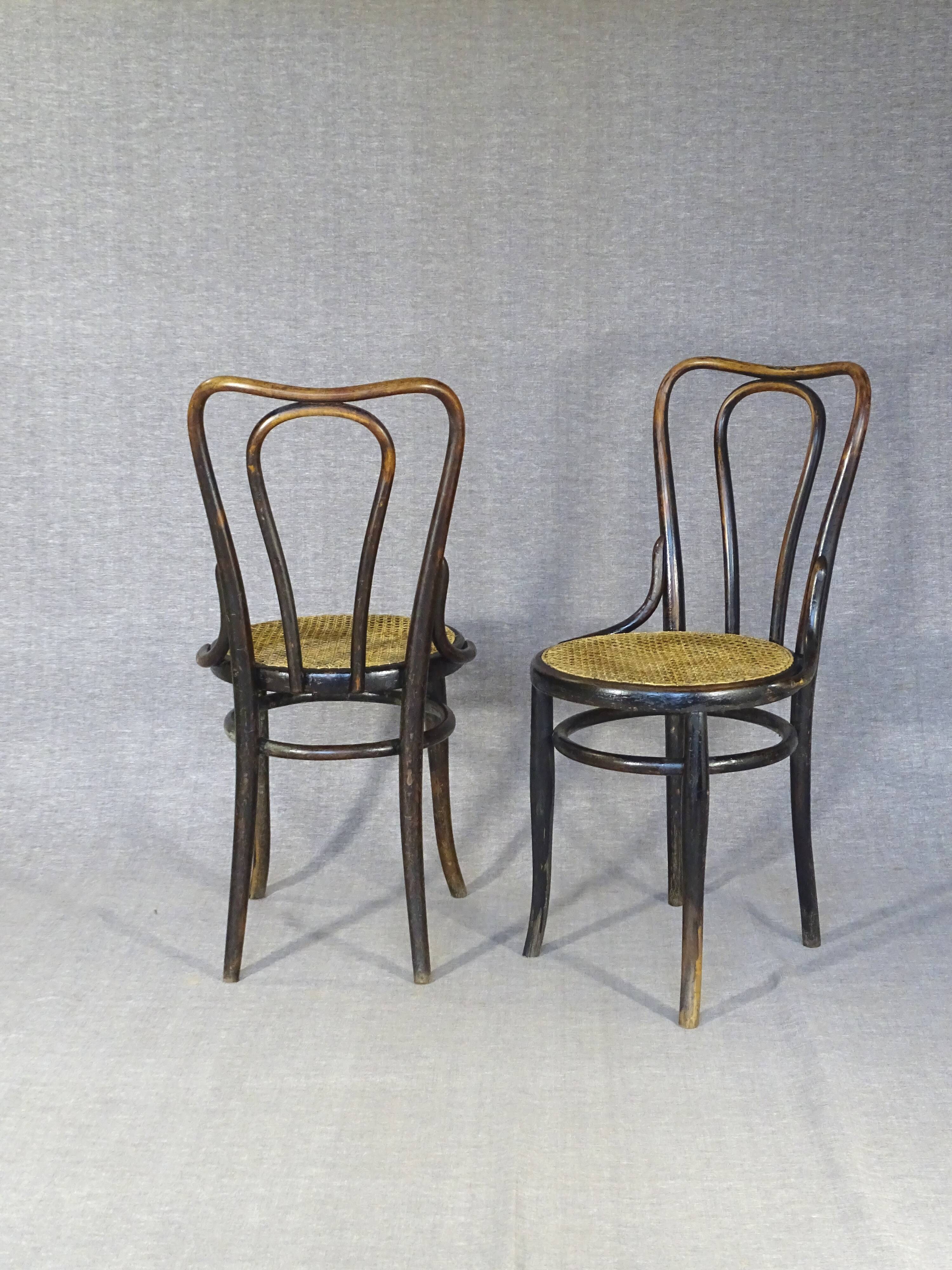 2 Kohn chairs no. 48 by Kohn 1890, not Thonet bistro - caned -