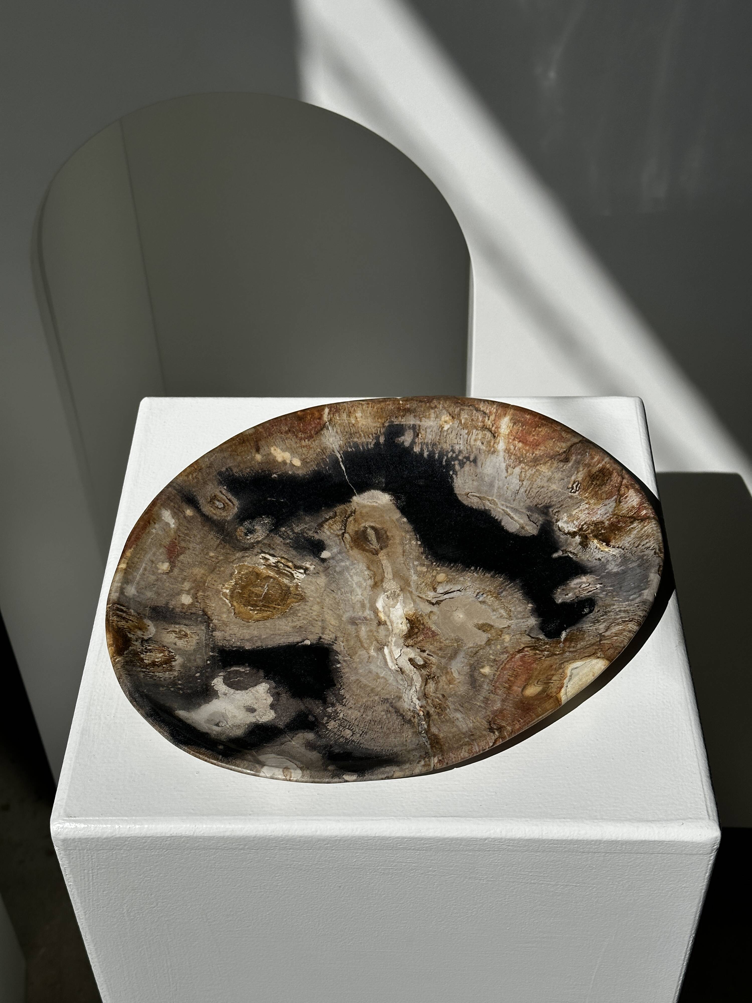 Large empty pocket or dish in petrified wood