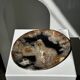 Large empty pocket or dish in petrified wood