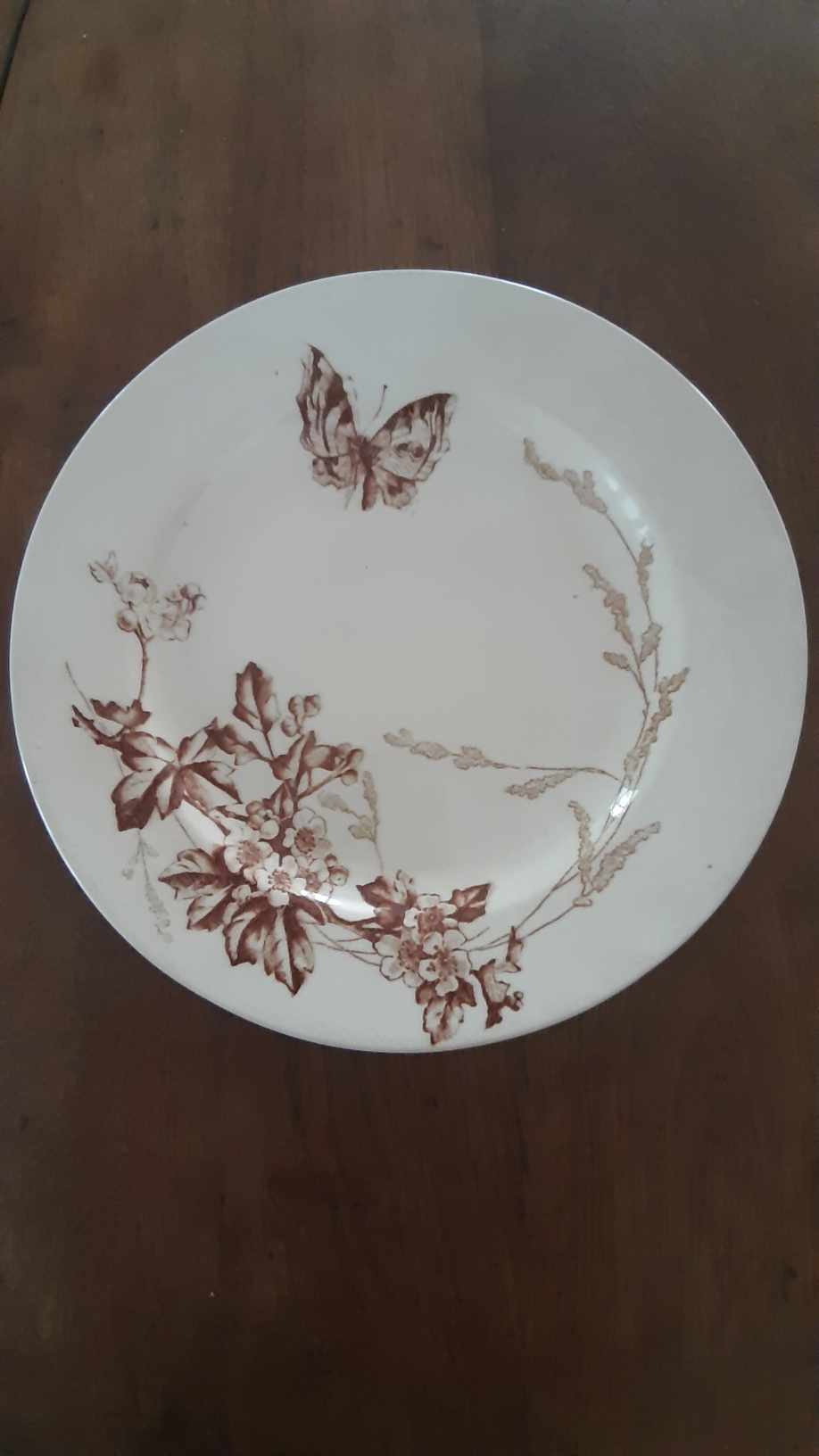 Assiette terre de fer Jules Vieillard