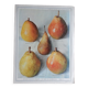 1947 pedagogic poster on pears