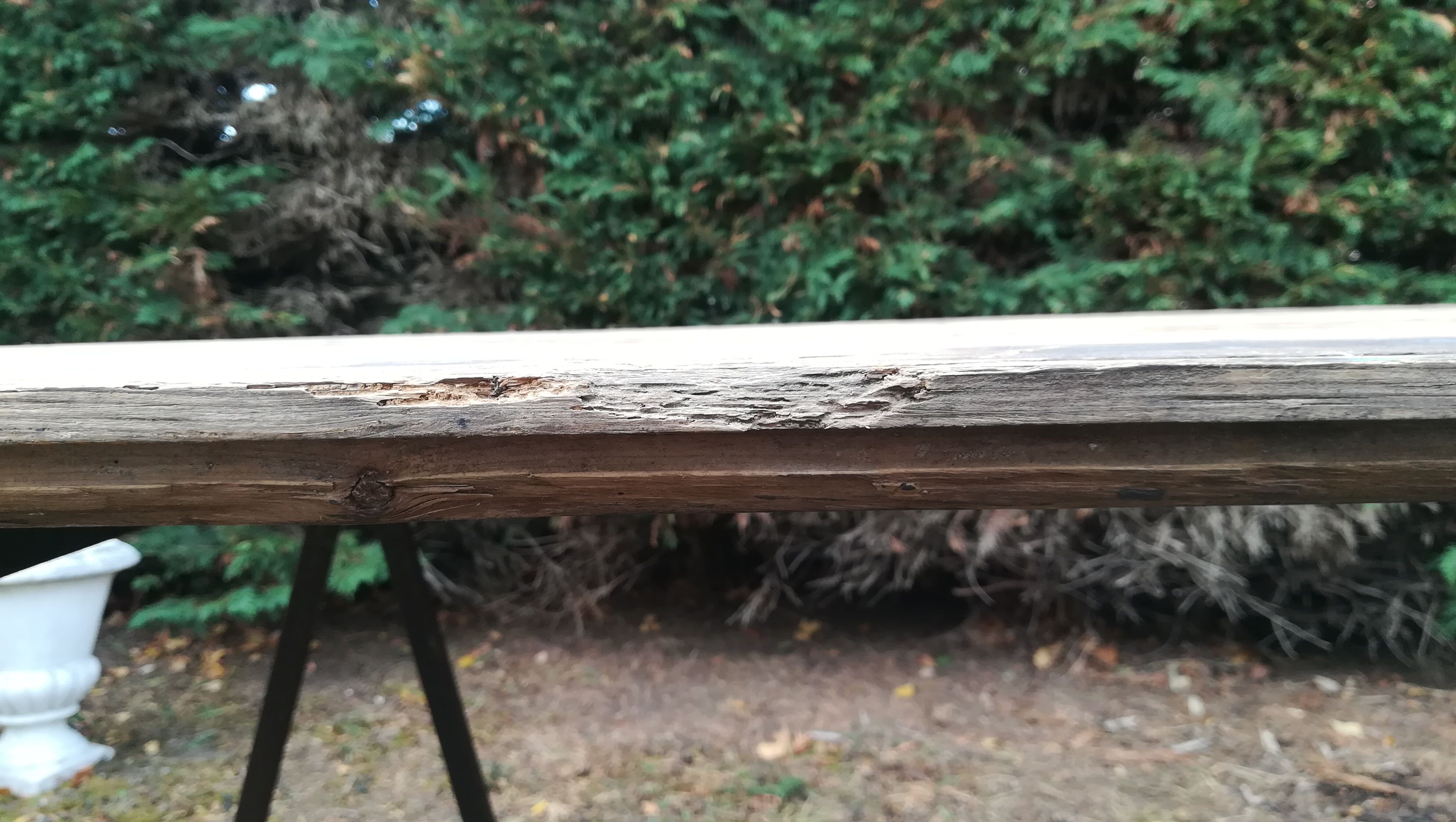 Table en bois brut pitchpin avec ses 2 tréteaux en métal