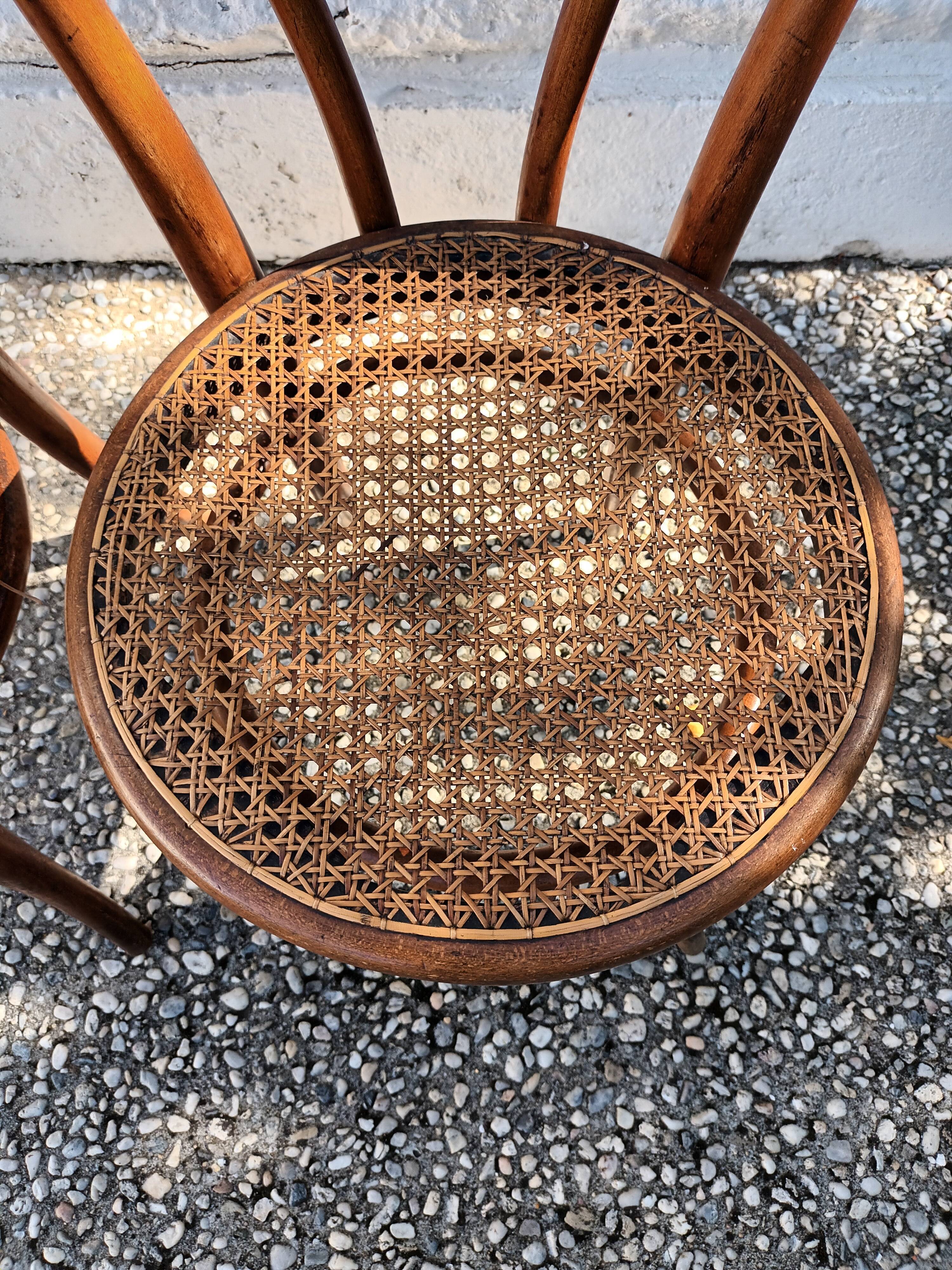 Canned chairs Thonet