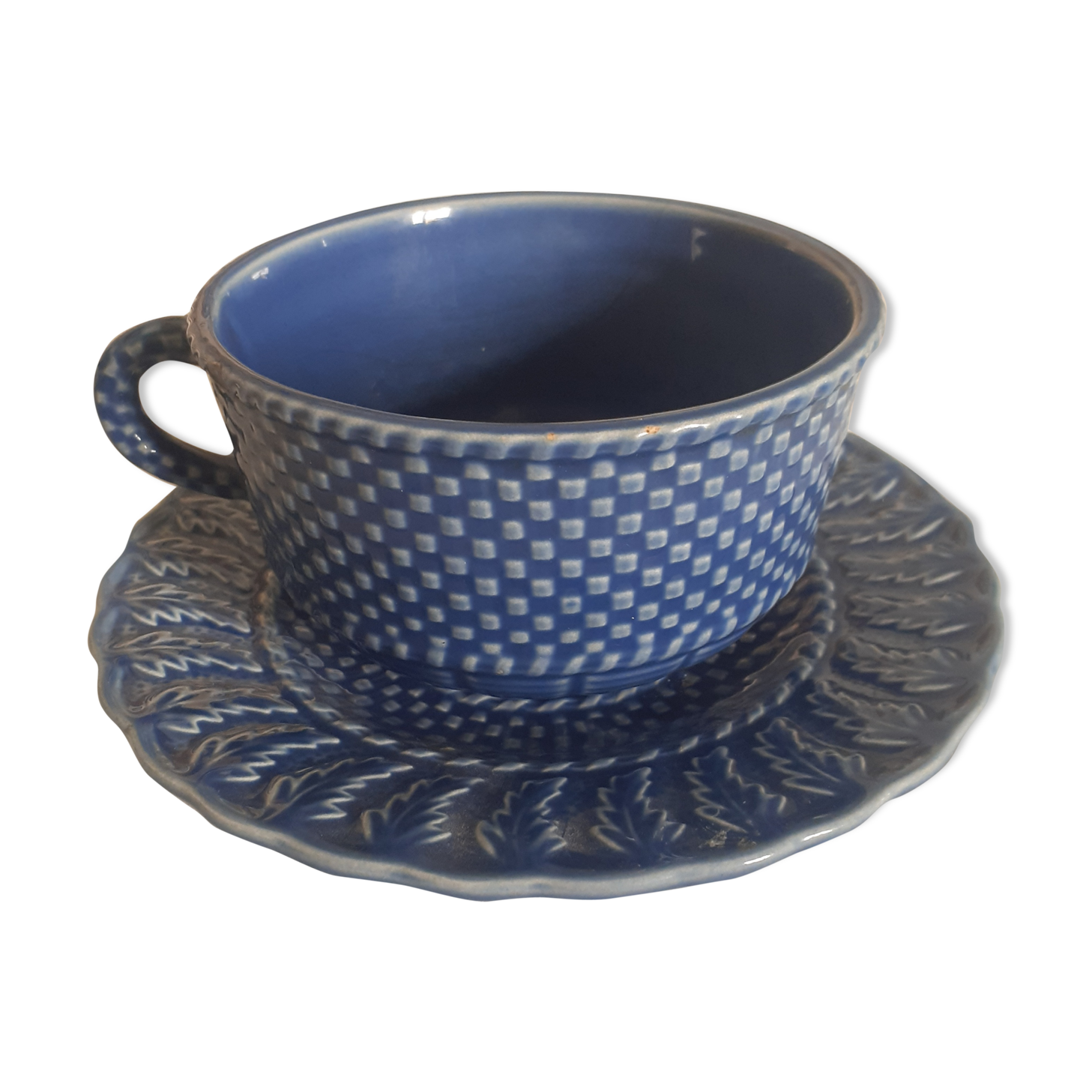 English-billed teacup