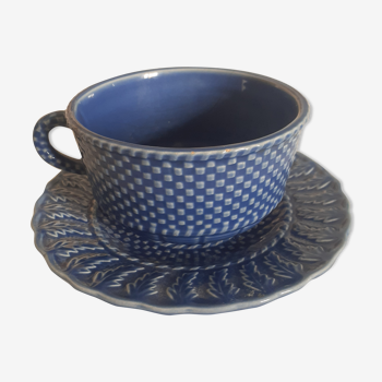 English-billed teacup